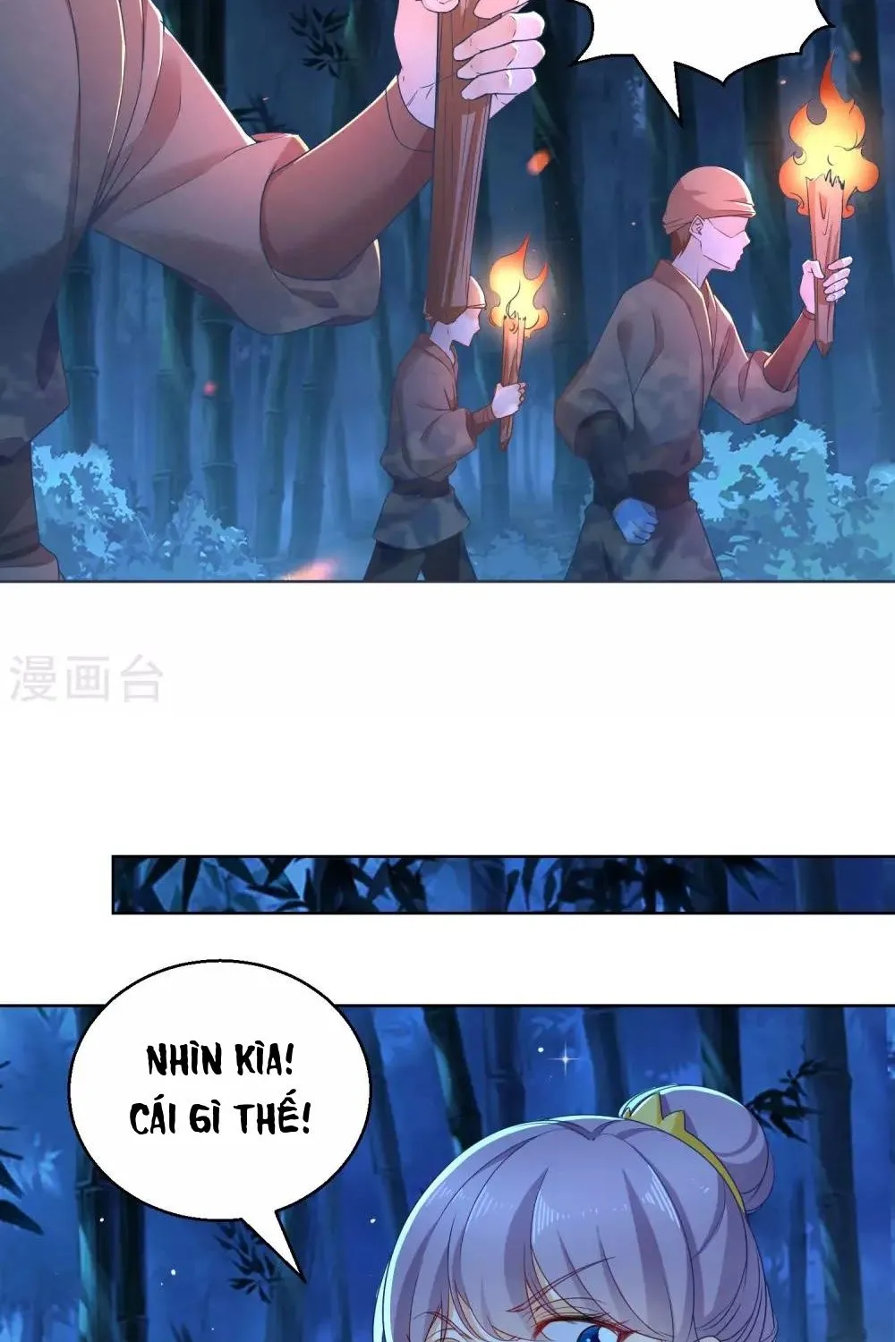 Tư Sủng Âm Dương Phi - Chap 71 - Trang 8