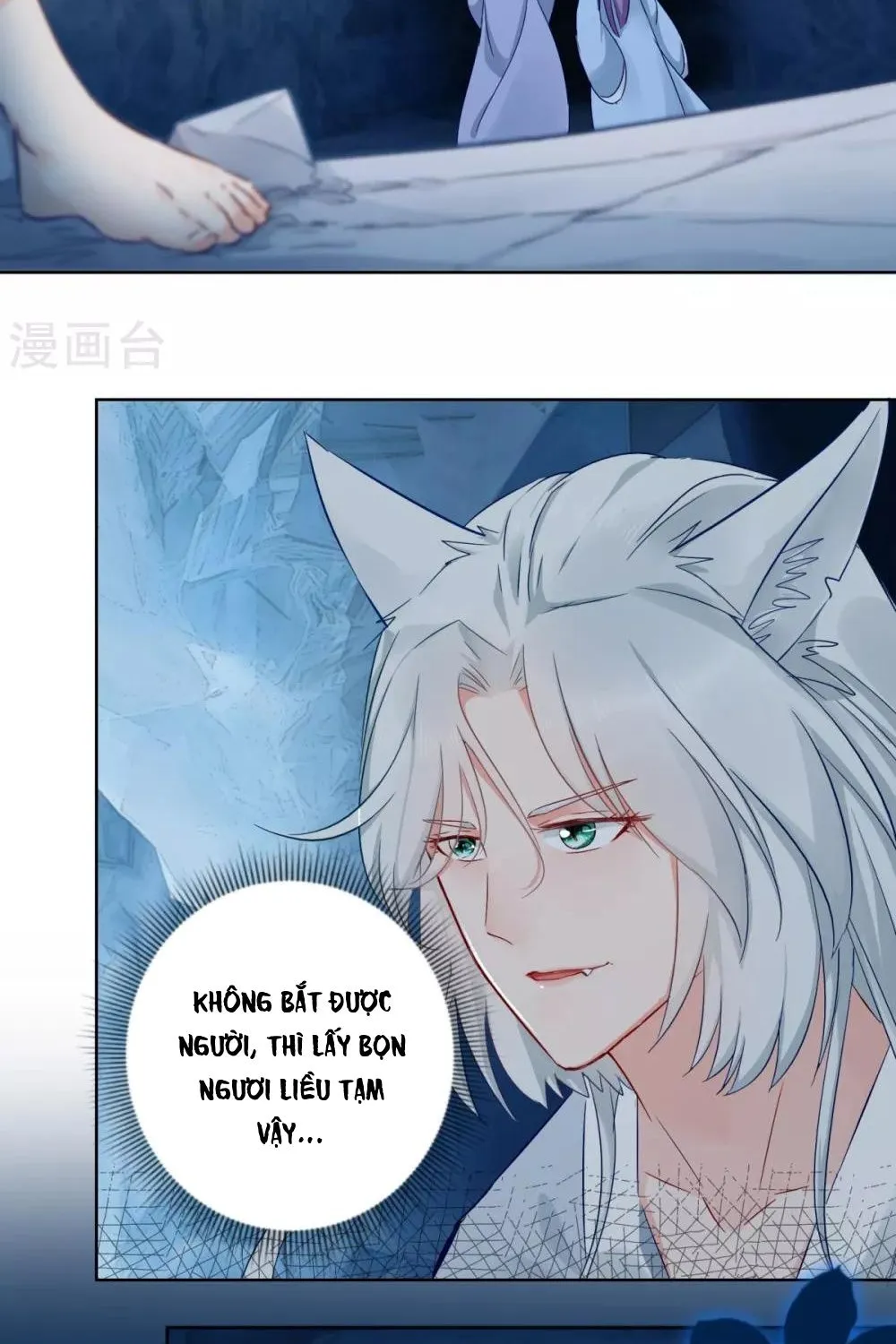 Tư Sủng Âm Dương Phi - Chap 77 - Trang 11