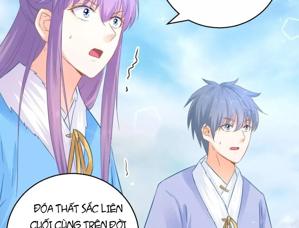 Tư Sủng Âm Dương Phi - Chap 80 - Trang 3