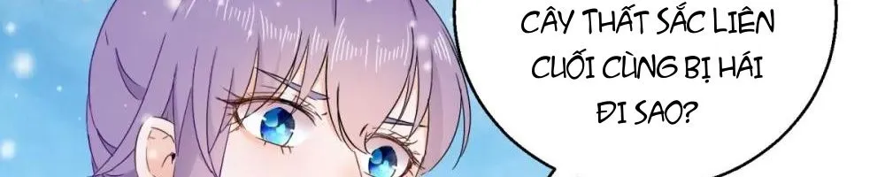 Tư Sủng Âm Dương Phi - Chap 81 - Trang 21