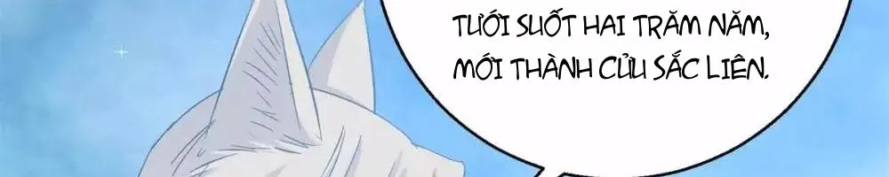 Tư Sủng Âm Dương Phi - Chap 82 - Trang 12