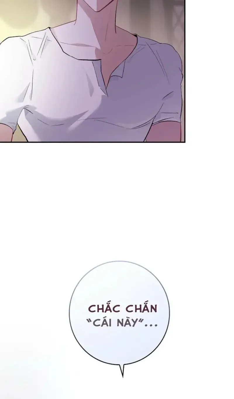 Chapter 2 - Trang 21