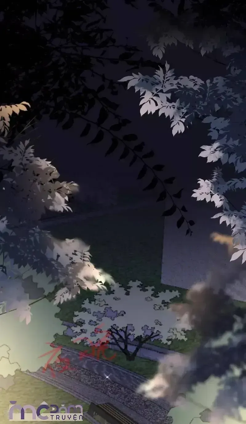 Chapter 104 - Trang 13