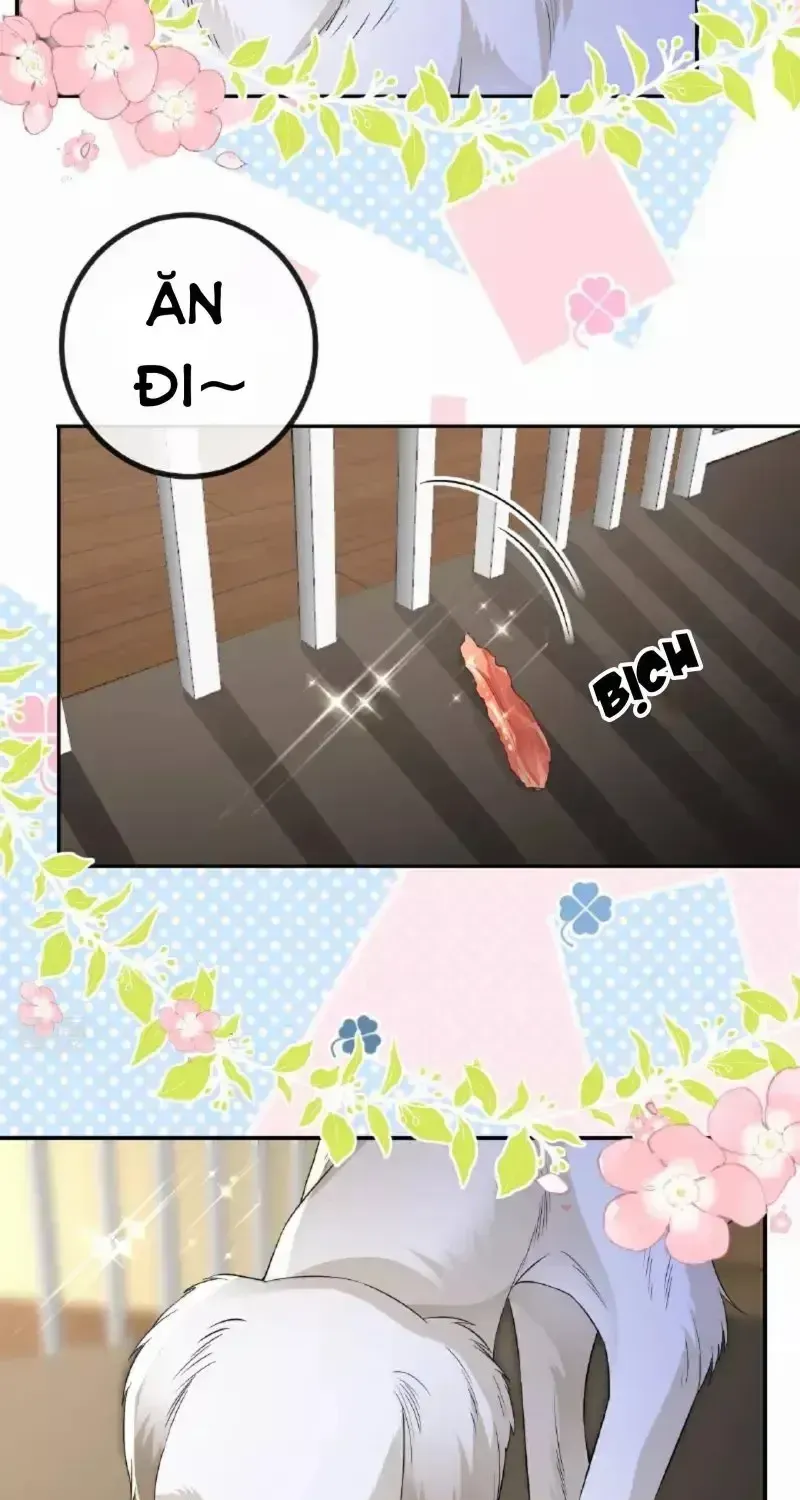 Chapter 113.2 - Trang 15