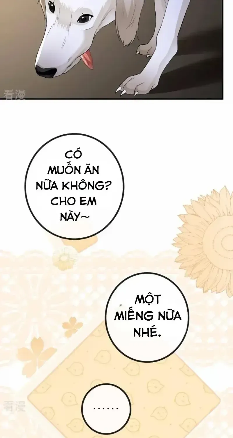 Chapter 113.2 - Trang 16