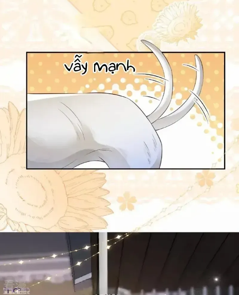 Chapter 113.2 - Trang 17