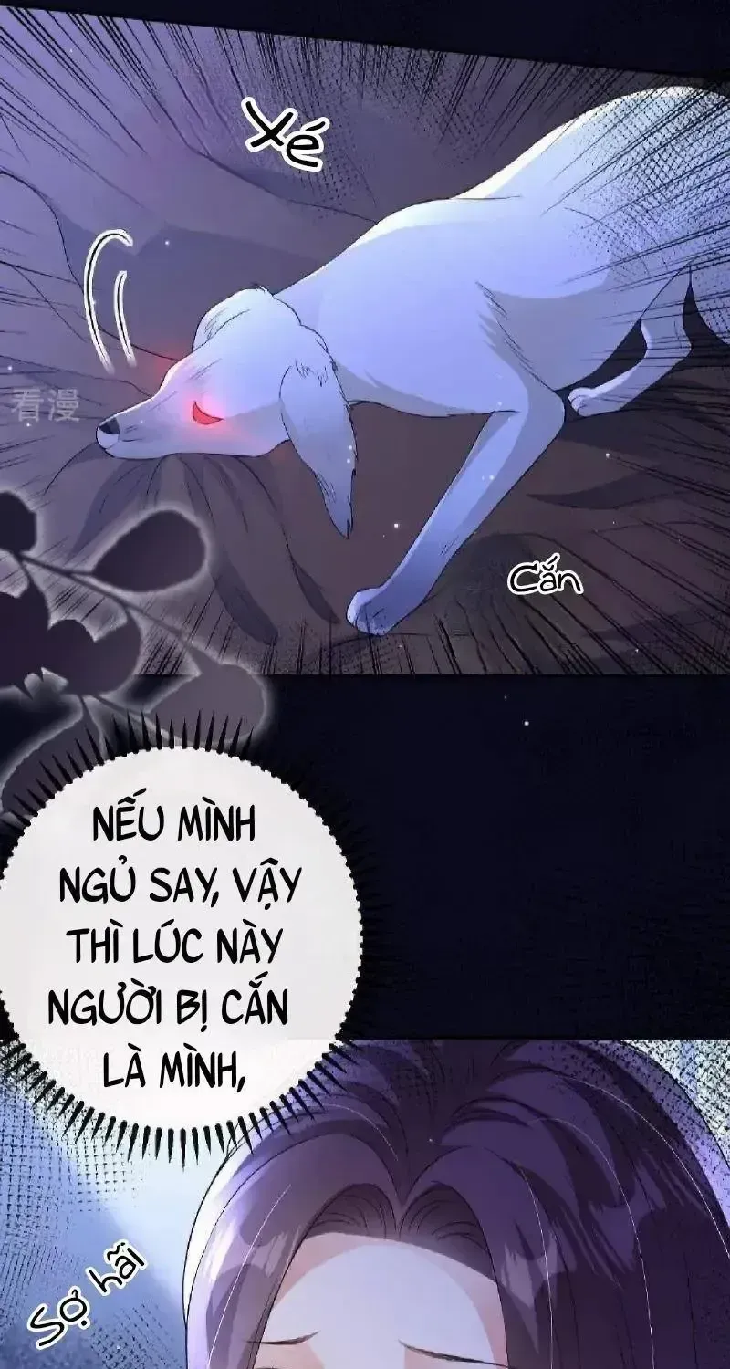 Chapter 114 - Trang 17