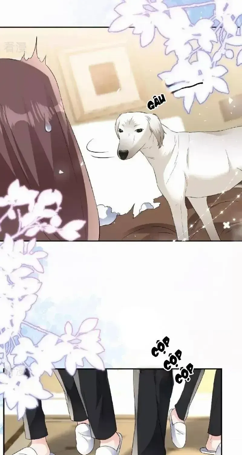 Chapter 114 - Trang 24