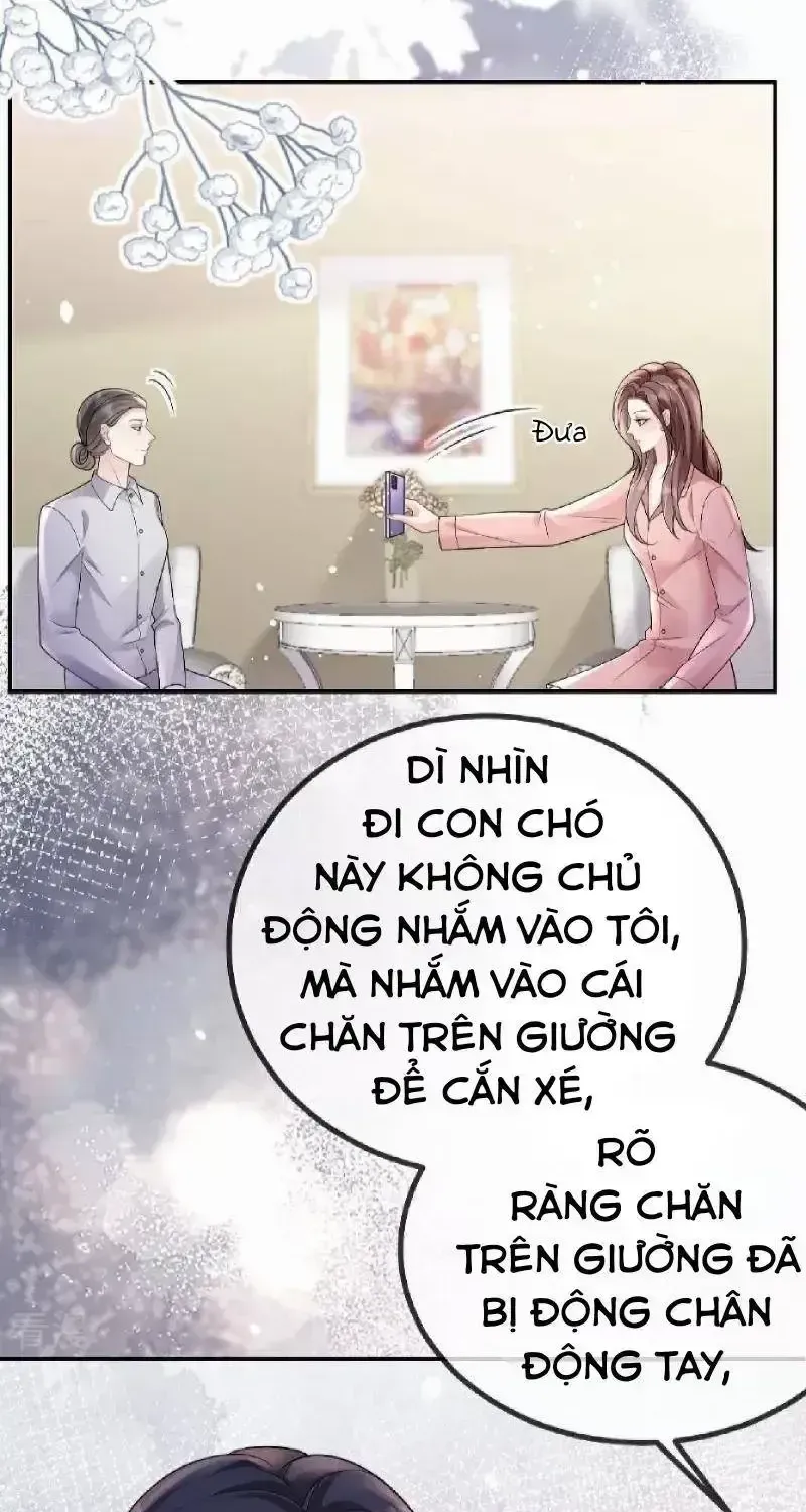 Chapter 114 - Trang 42