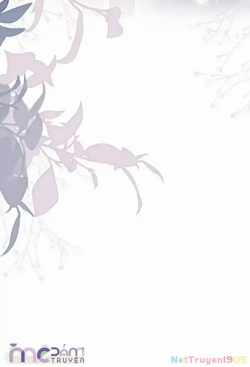Chapter 116 - Trang 41