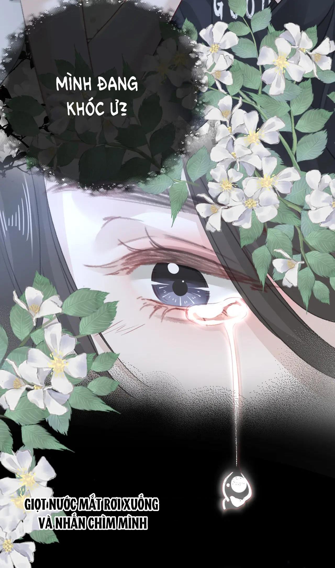 Chapter 15 - Trang 30