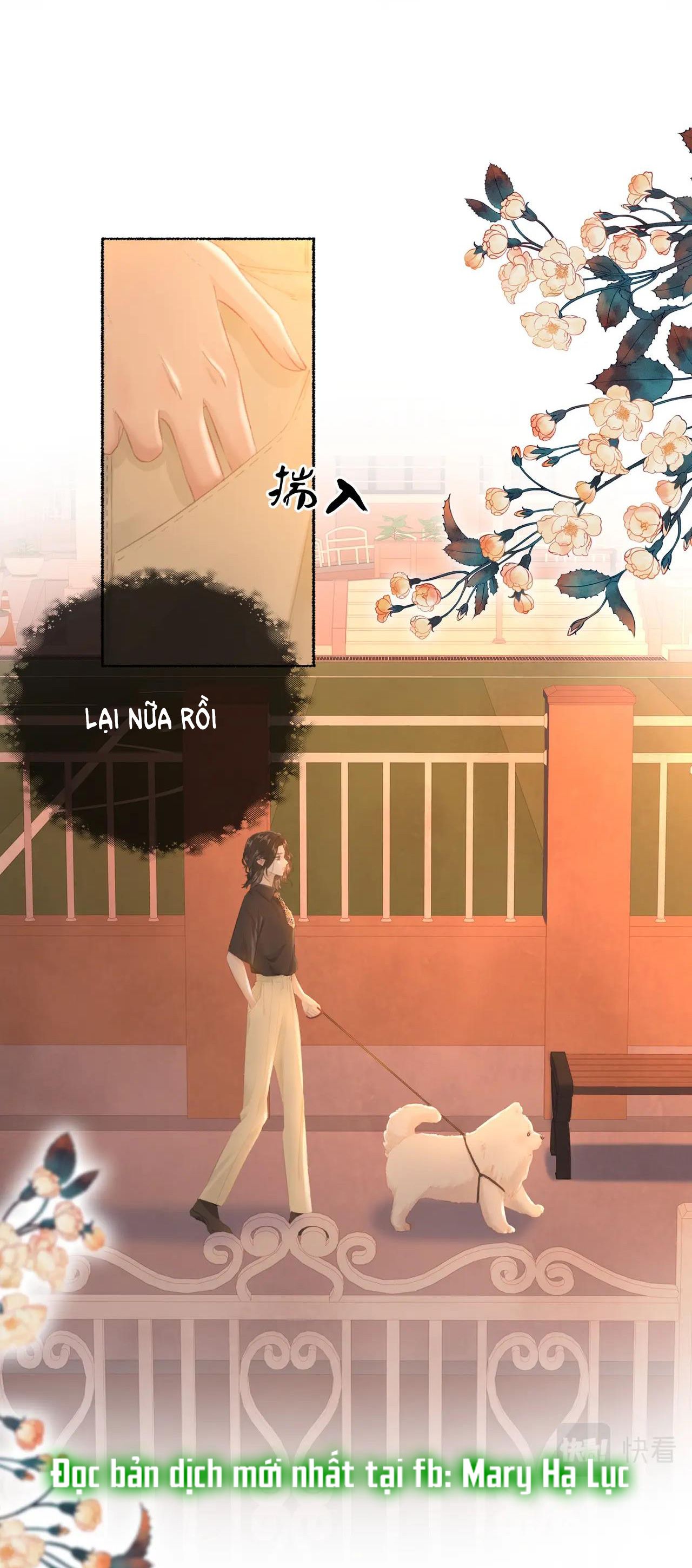 Chapter 19 - Trang 21
