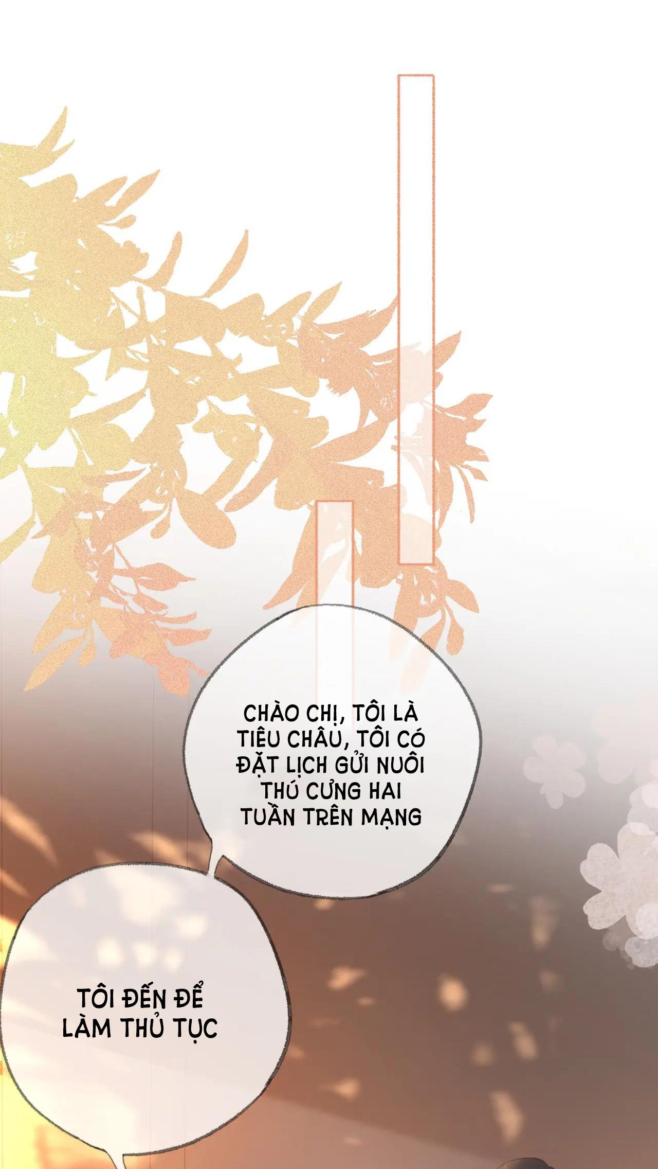 Chapter 19 - Trang 25