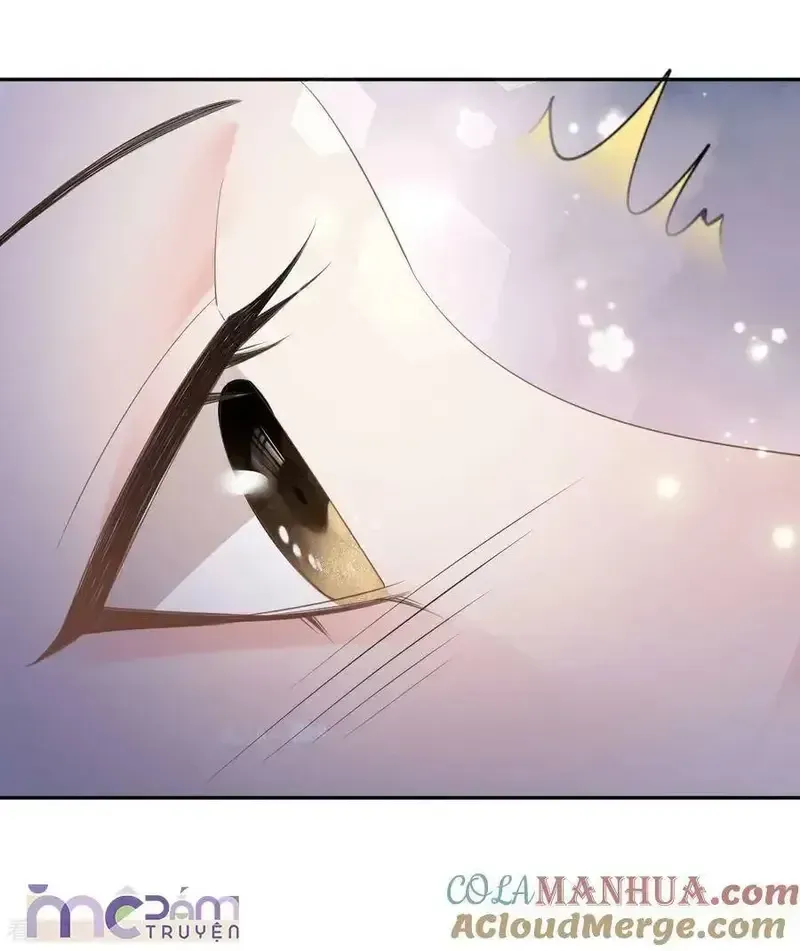 Chapter 60 - Trang 28