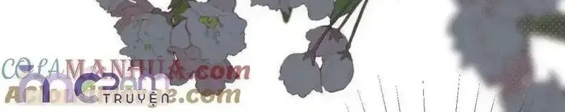Chapter 63 - Trang 29