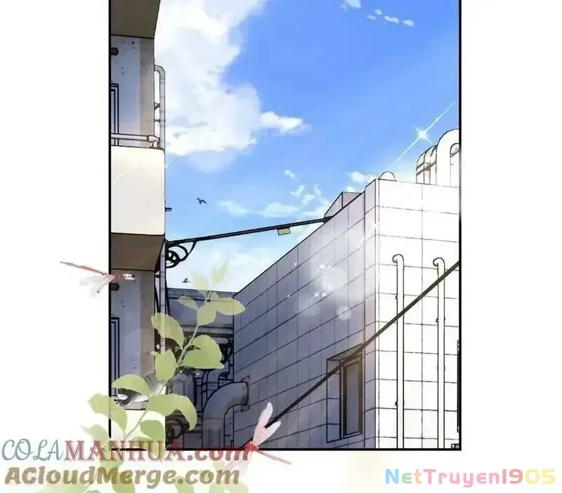 Chapter 65 - Trang 24