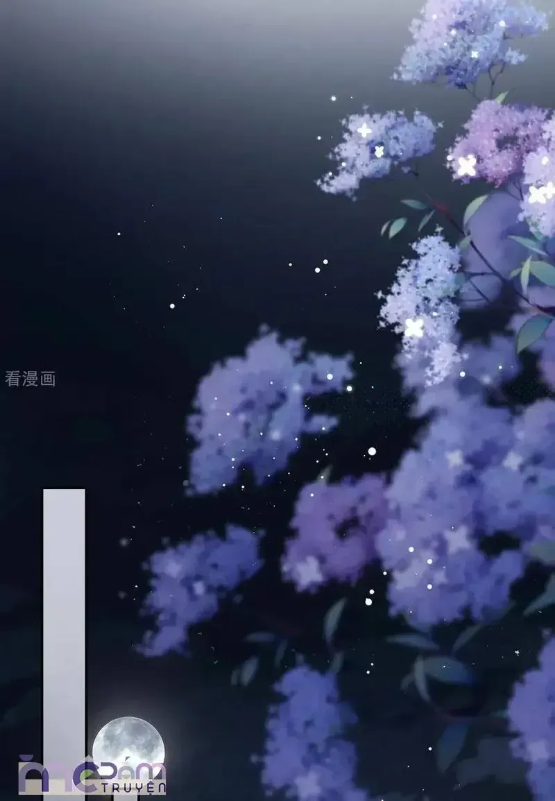 Chapter 95.2 - Trang 13
