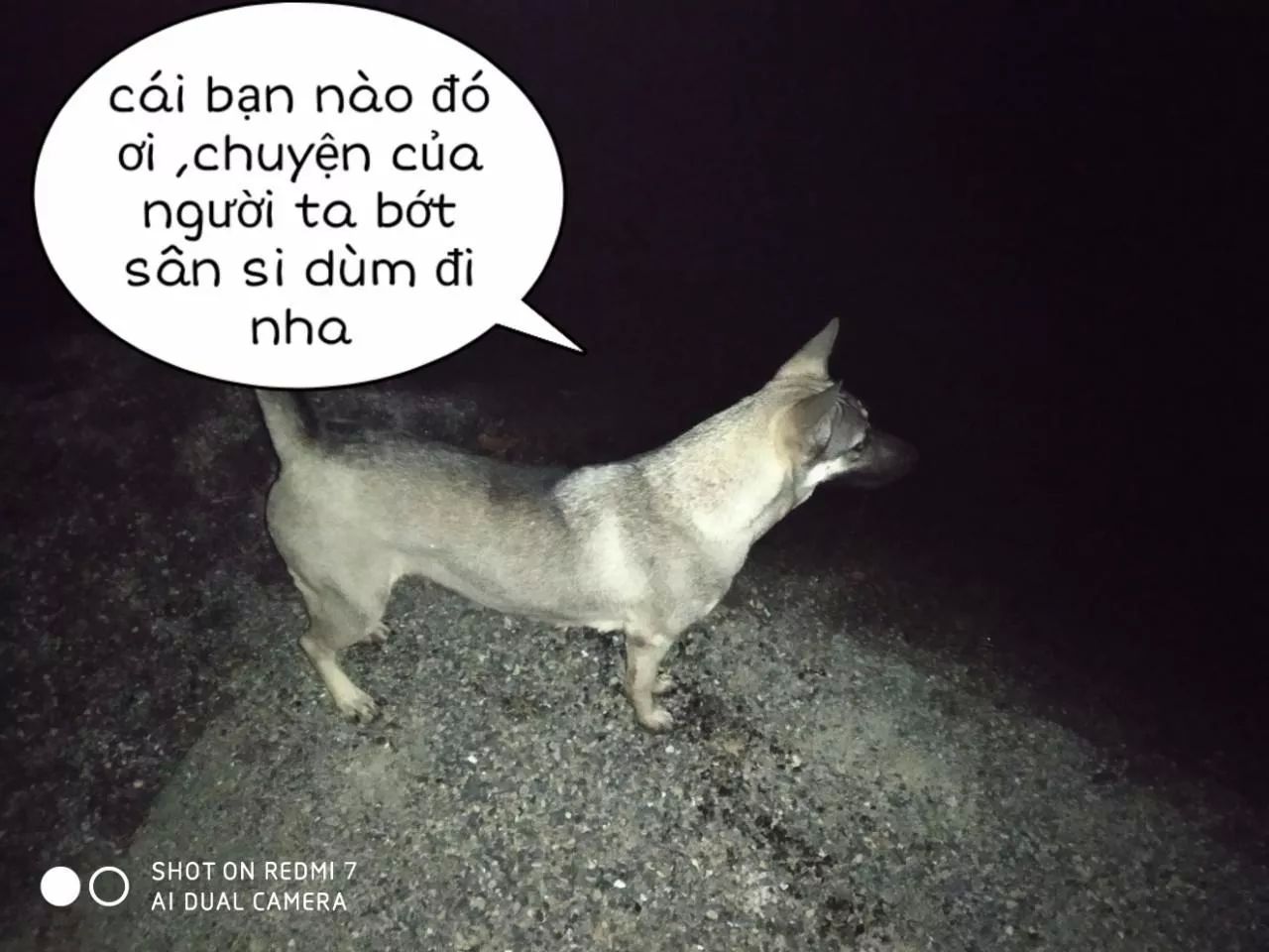Trang 31