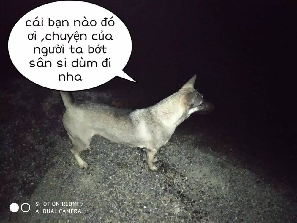 Chương 152 - Trang 31