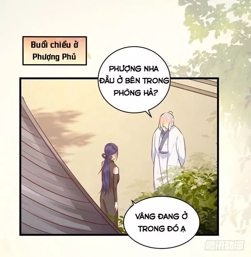 Trang 17