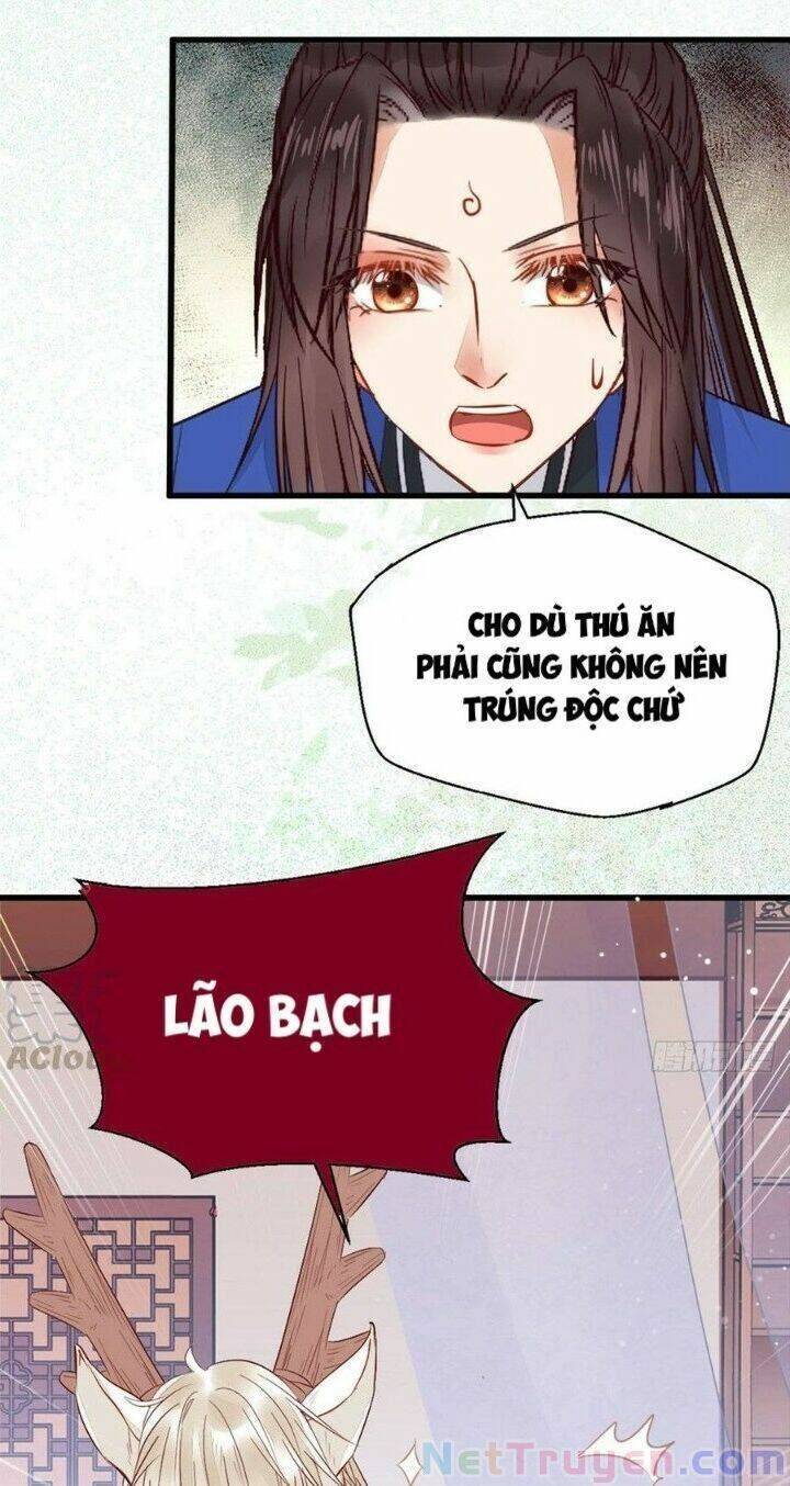 Trang 31