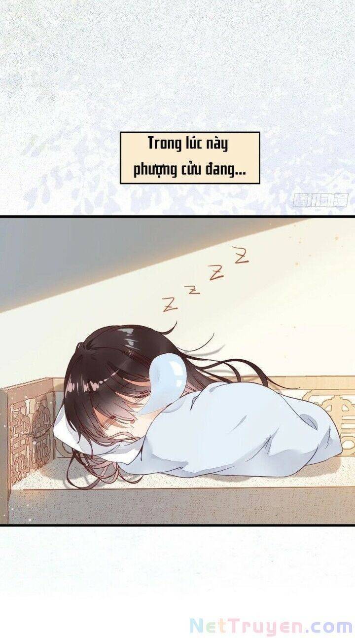 Trang 41