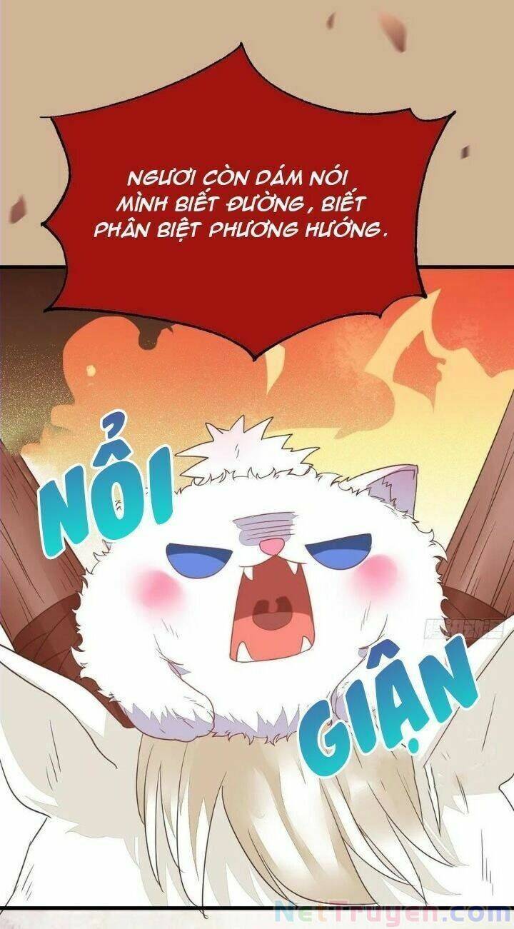 Trang 23