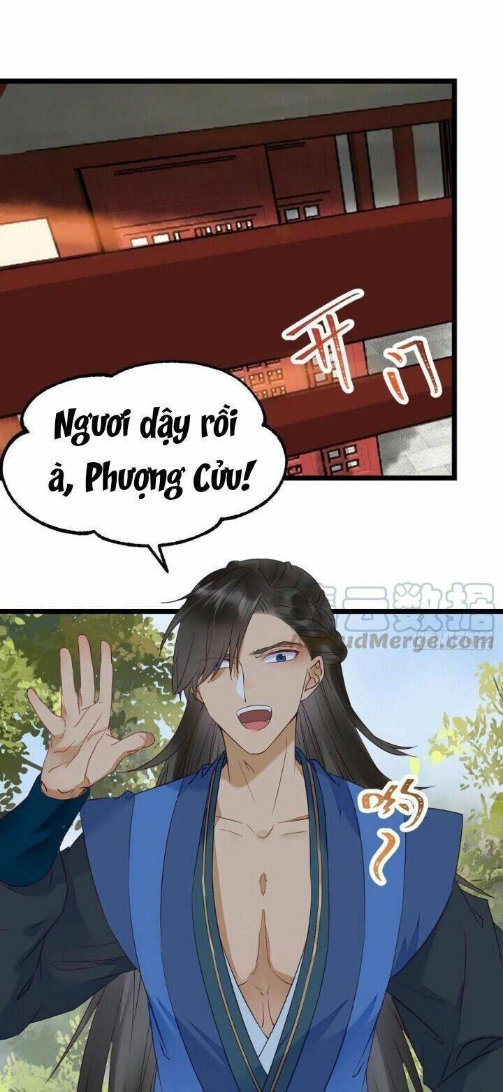 Trang 19