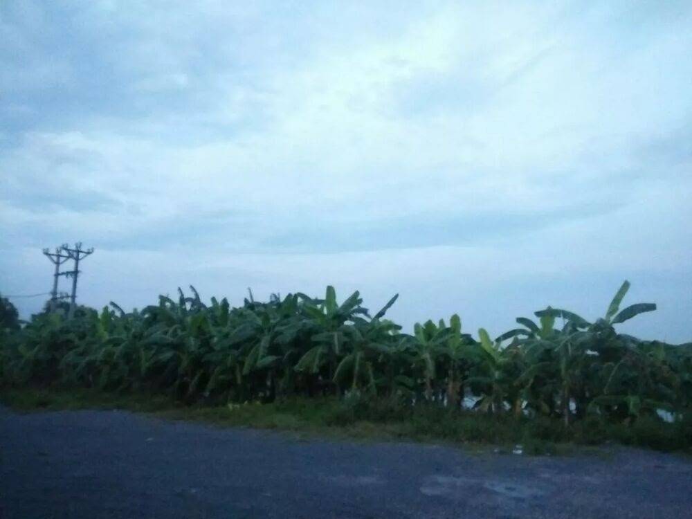 Chương 91 - Trang 62