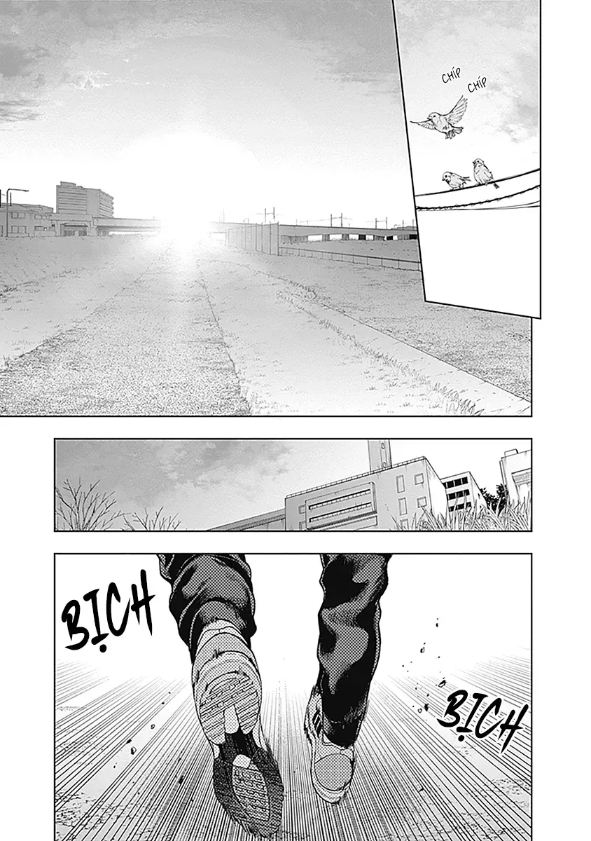Uma Musume: Cinderella Gray - Chap 61 - Trang 3