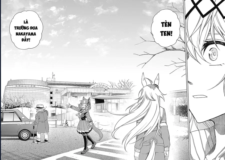 Uma Musume: Cinderella Gray - Chap 62 - Trang 3