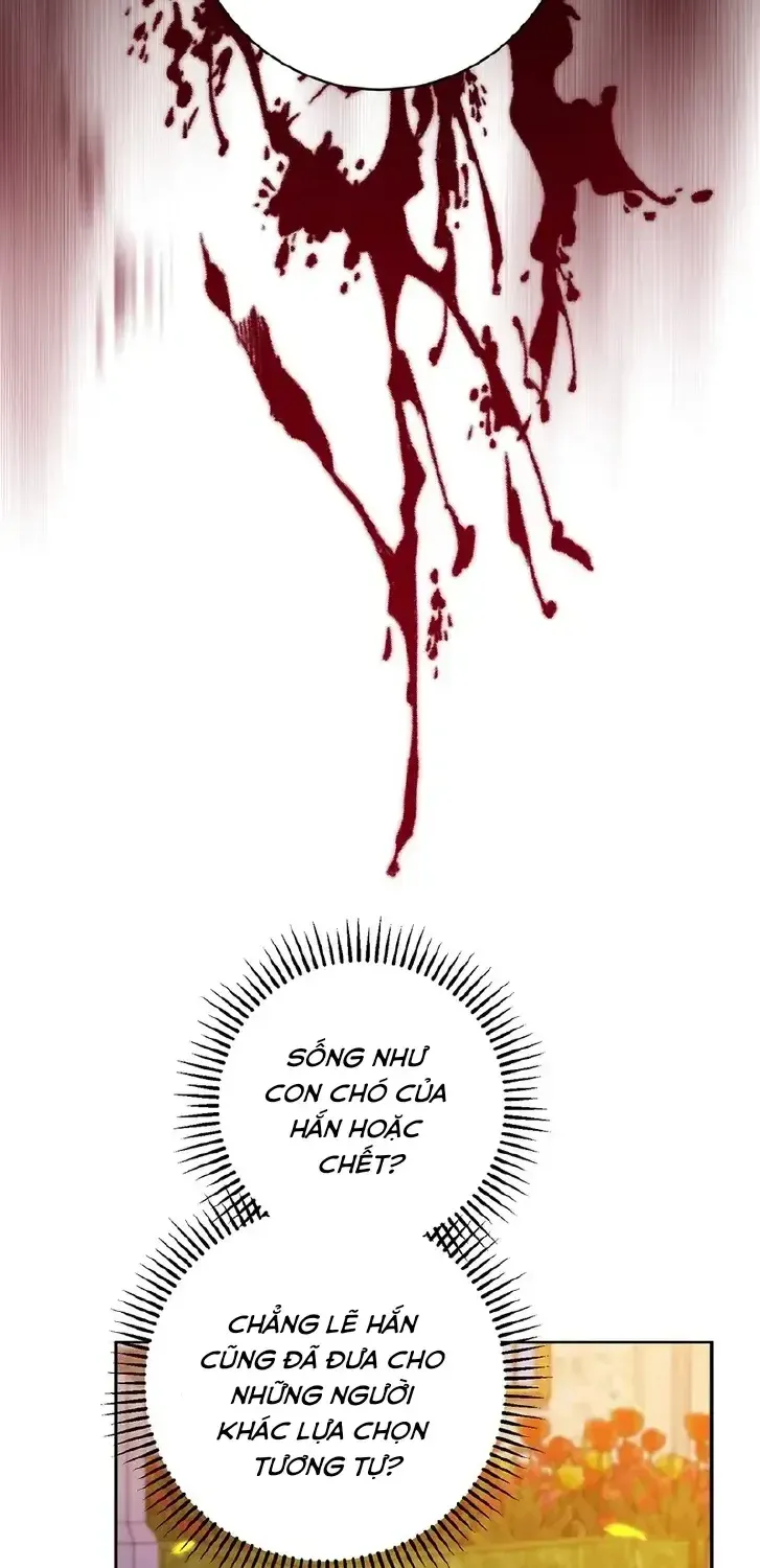 Chapter 2 - Trang 22