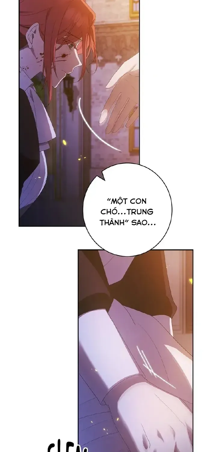 Chapter 2 - Trang 29
