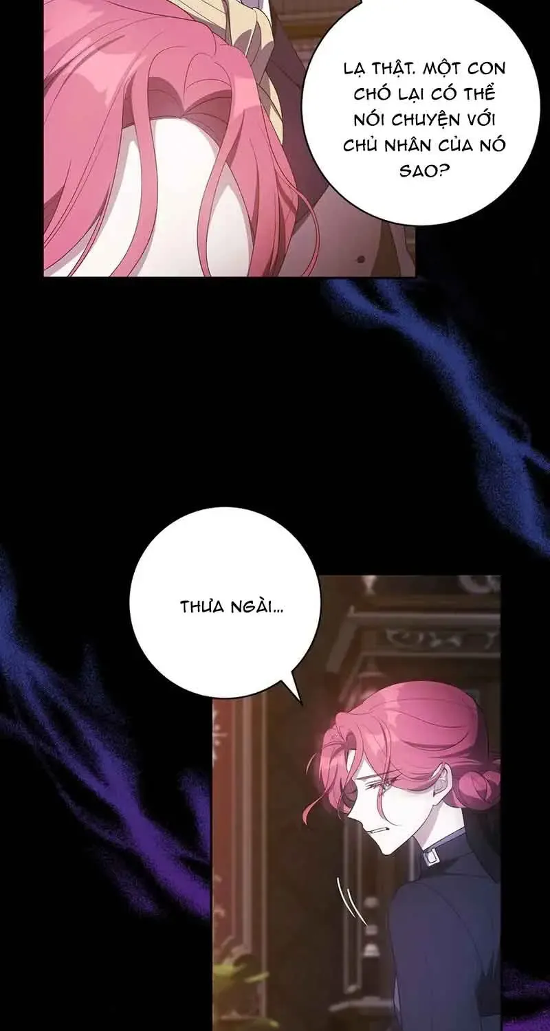 Chapter 3 - Trang 41