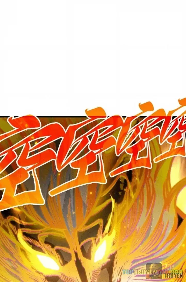 Chapter 558 - Trang 5