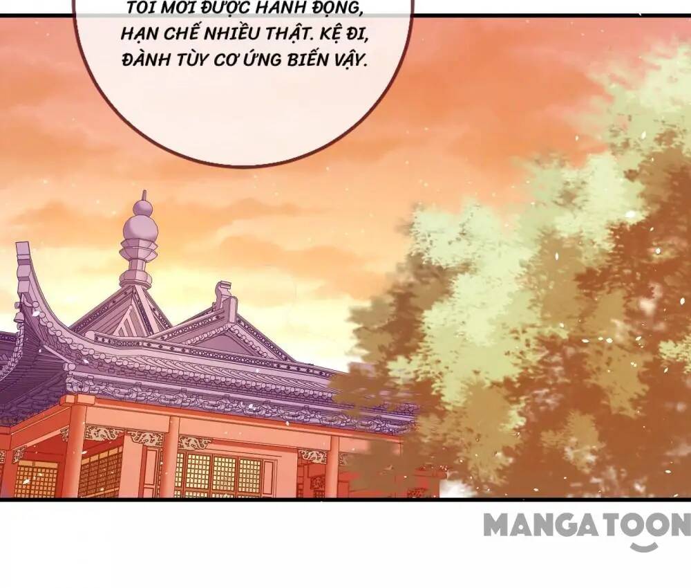 Chương 290 - Trang 66