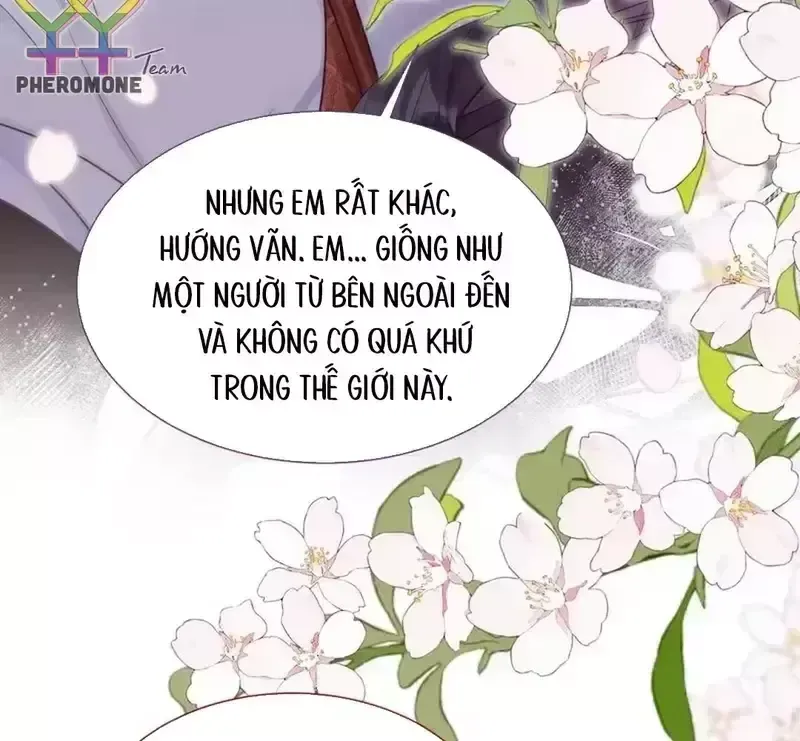 Vãn Triều - Chap 26 - Trang 41