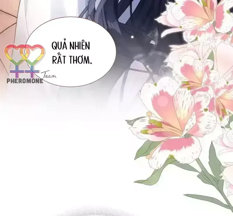 Vãn Triều - Chap 26 - Trang 59
