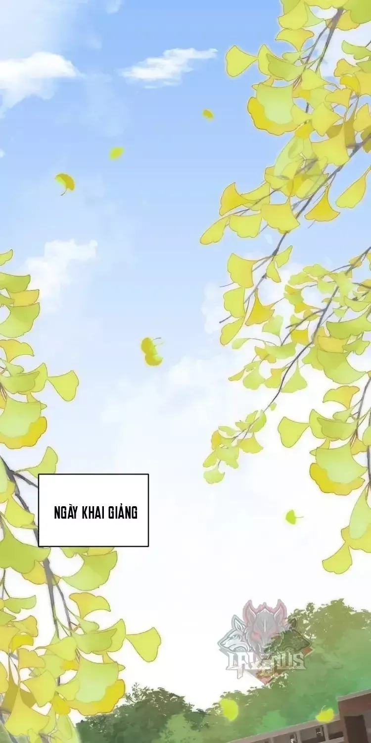 Chapter 33 - Trang 28