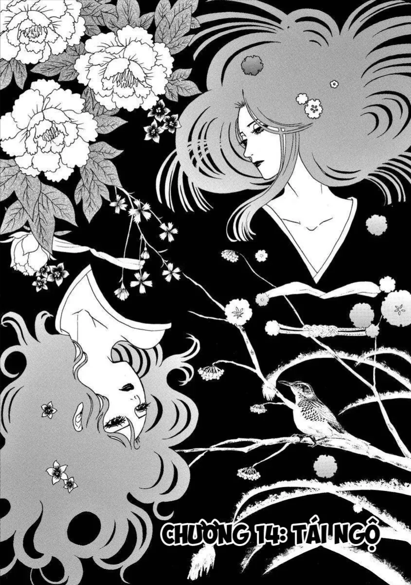 Chapter 14 - Trang 2