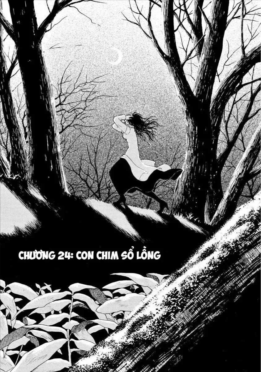 Chapter 24 - Trang 3
