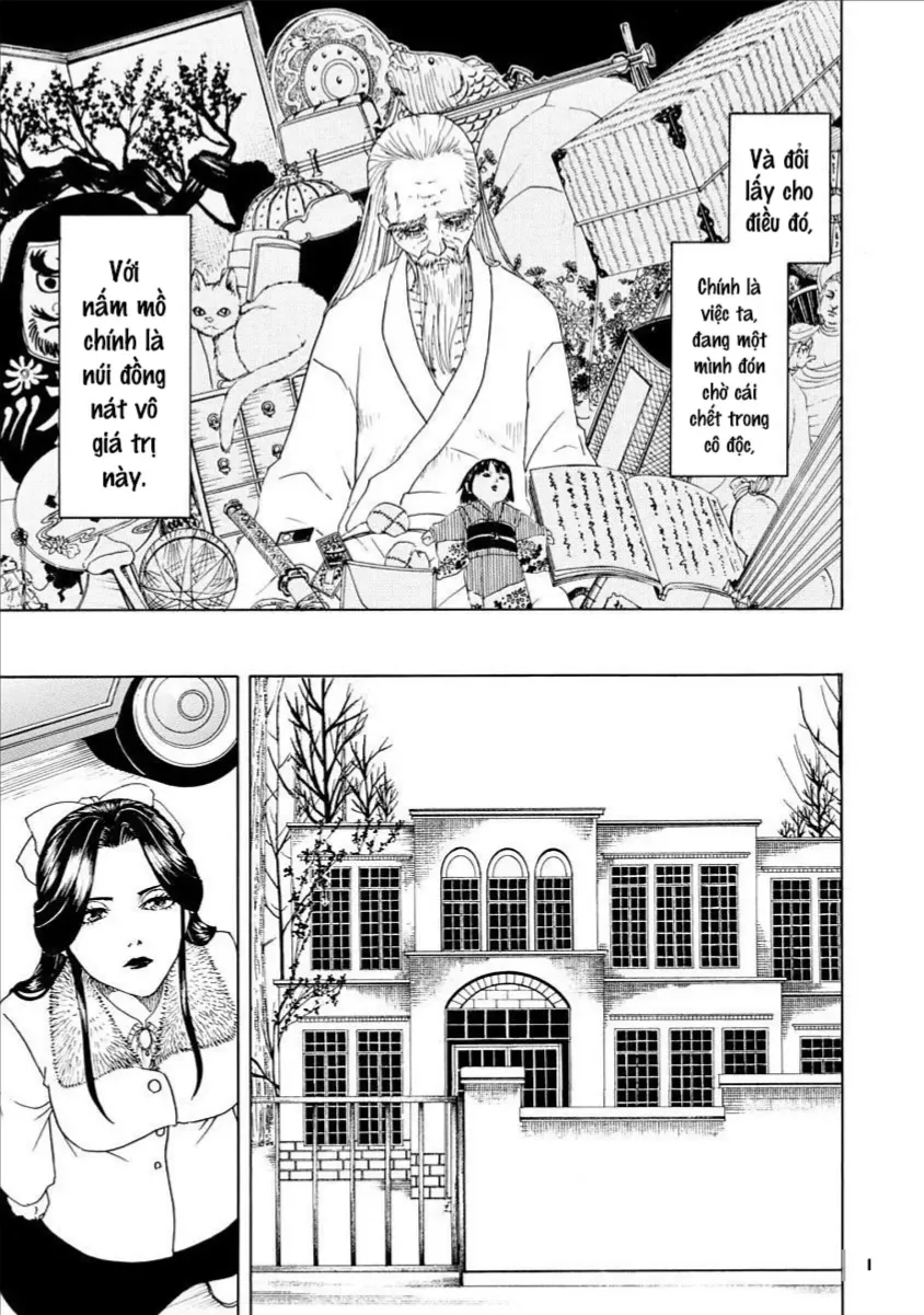 Chapter 33 - Trang 8