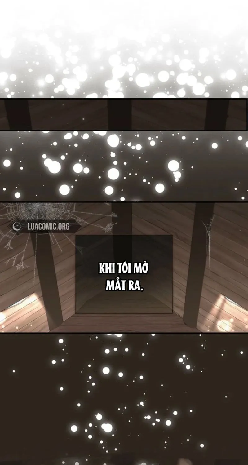 Chapter 1 - Trang 61
