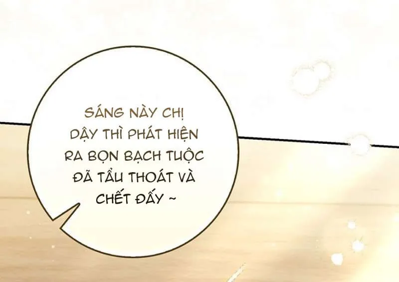 Chapter 26 - Trang 28
