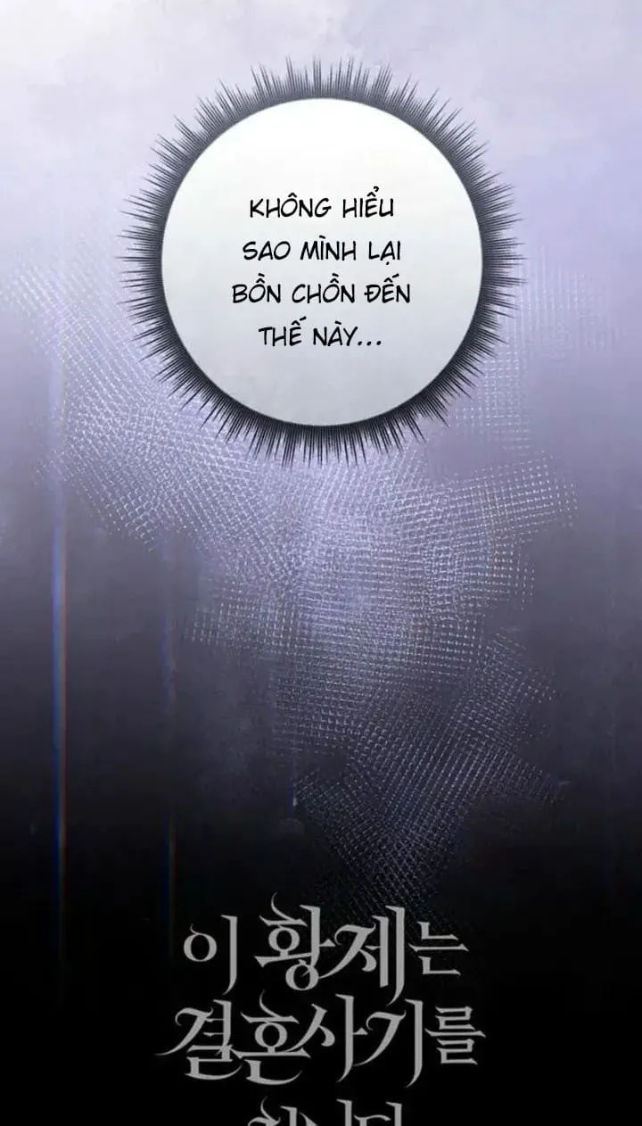 Chapter 33 - Trang 96