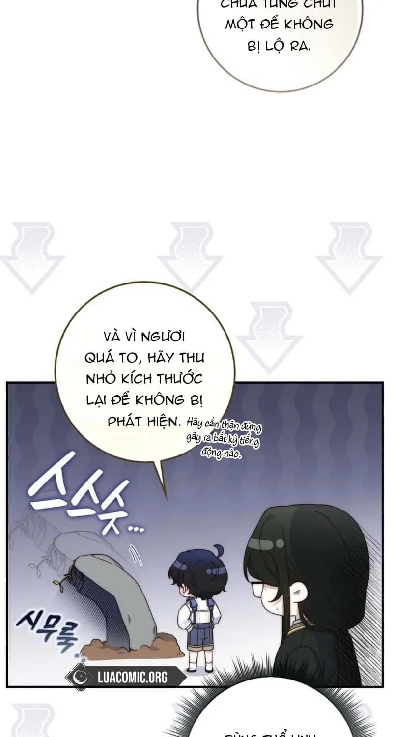 Chapter 5 - Trang 66