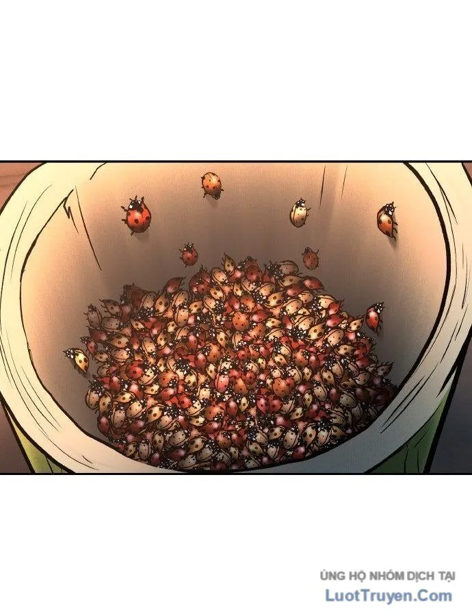 Chapter 43 - Trang 46