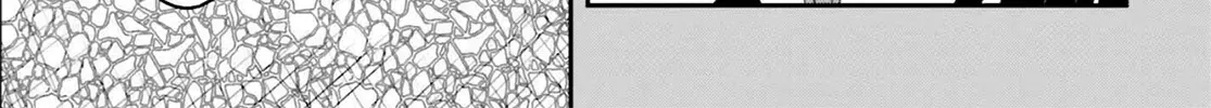 Chapter 143.3 - Trang 12