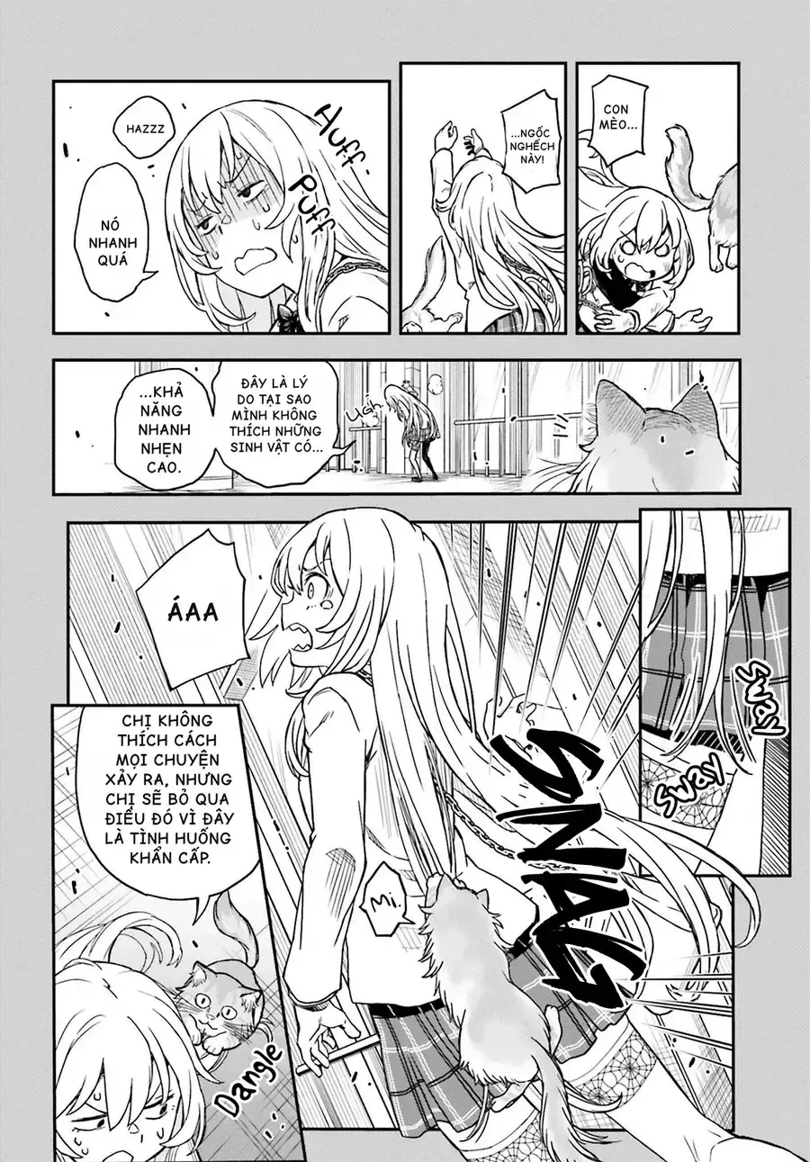Chapter 145 - Trang 15