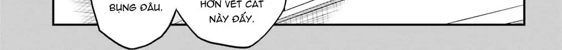 Chapter 156 - Trang 14